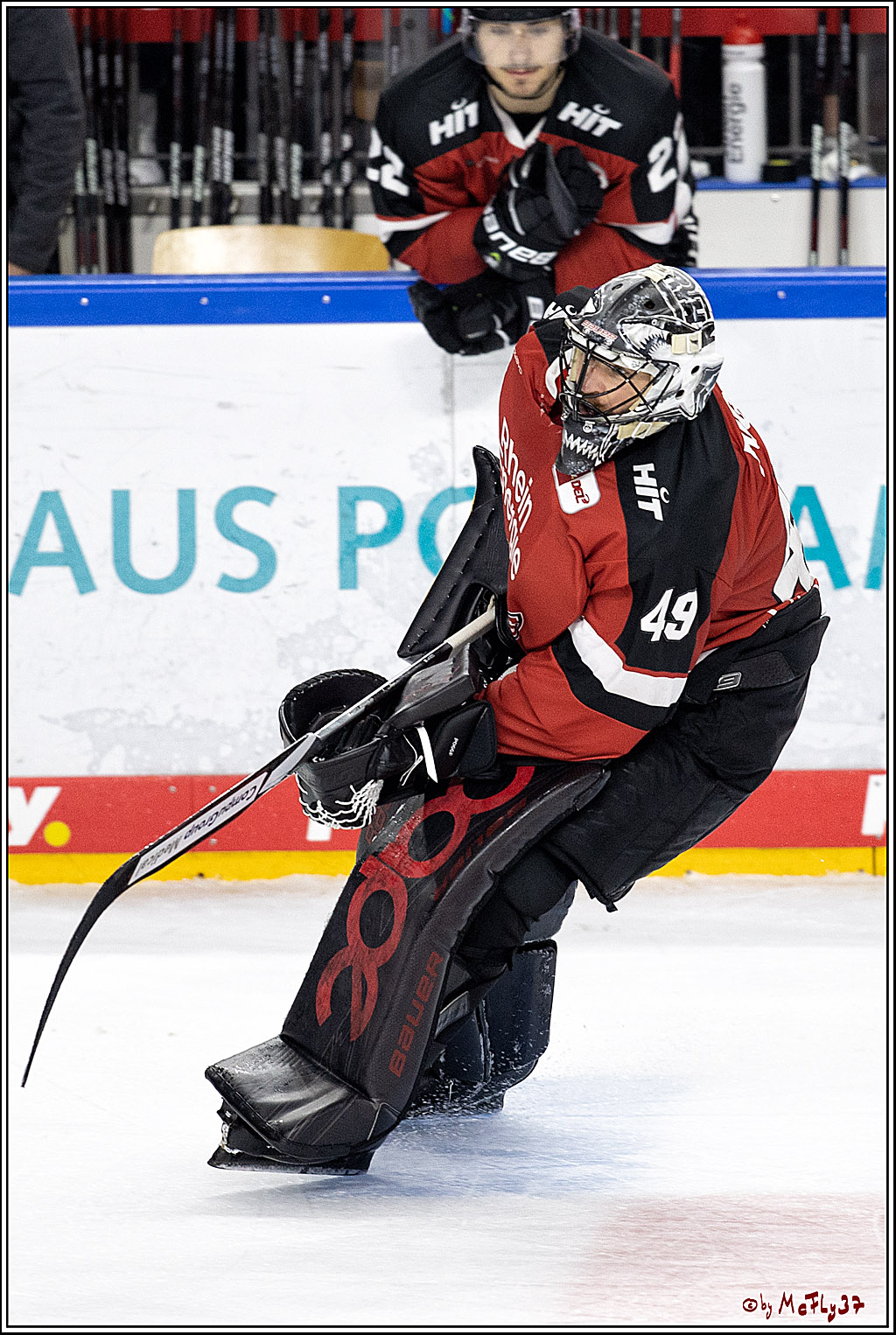 PENNY DEL;  Koelner Haie - Bietigheim Steelers; Koeln, 19.11.2021